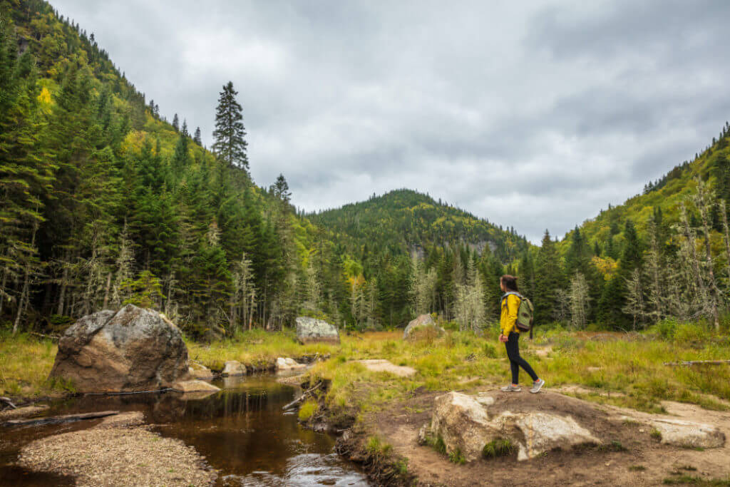 tick removal for hikers